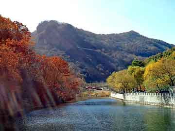 新澳天天开奖资料大全旅游团，好太太晾衣架维修